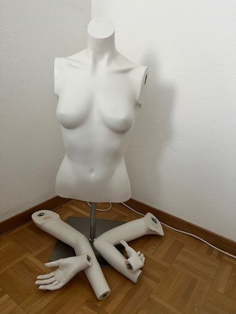 Sculture & Statue: Büste auf Ständer – Nuovo (secondo la descrizione) da Walenstadt venduto da ricamul 9