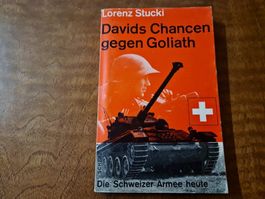 Davids Chancen gegen Goliath