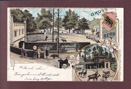 Gruss aus BERN - Bärengraben 1902 Litho // leichte Falte //