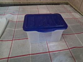 Box mit Blauer deckel