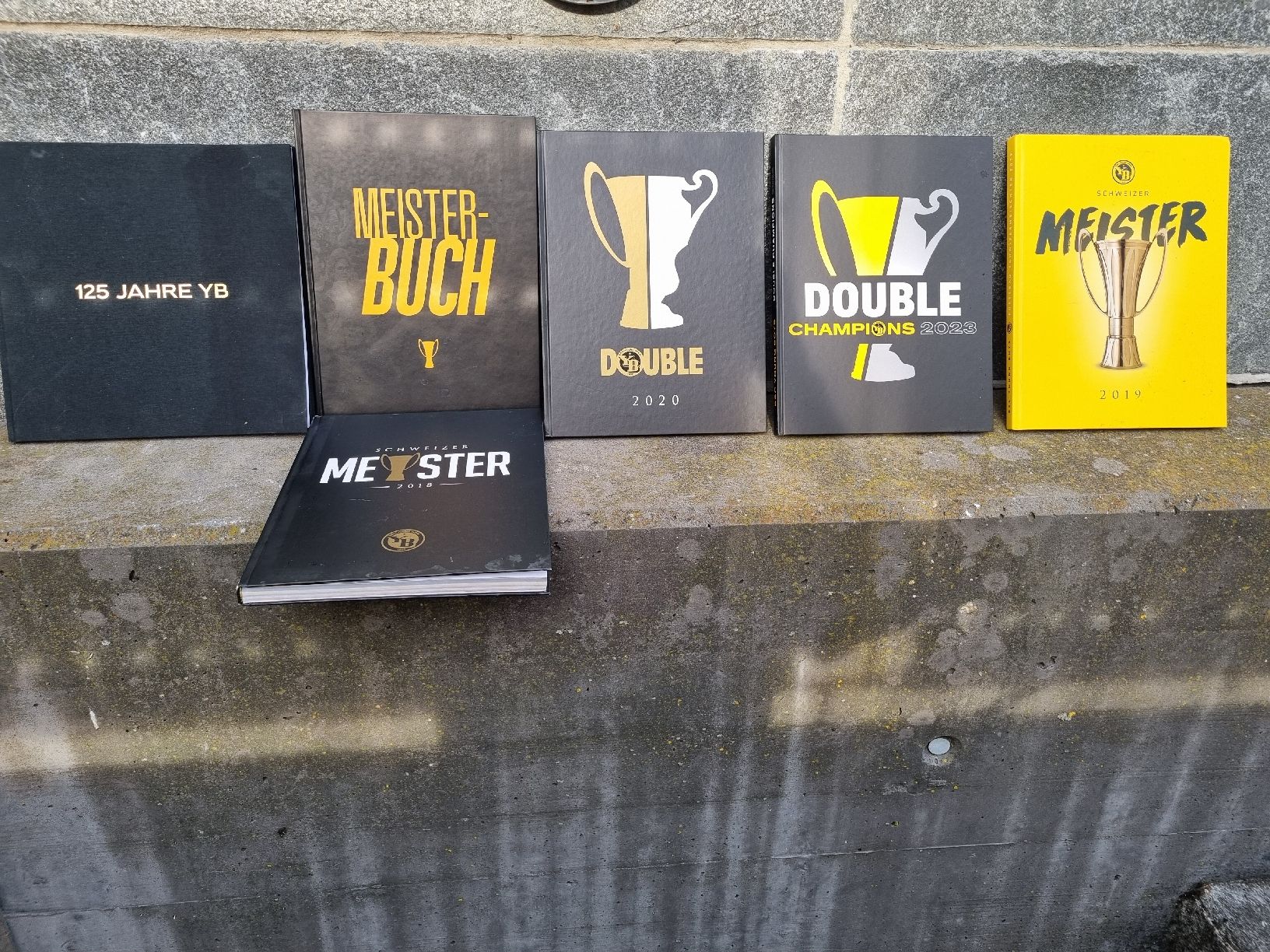 Livres: YB  BUCH – D'occasion à Ostermundigen par vintage60
