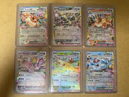 Rainbow Pokemon Karten Englisch