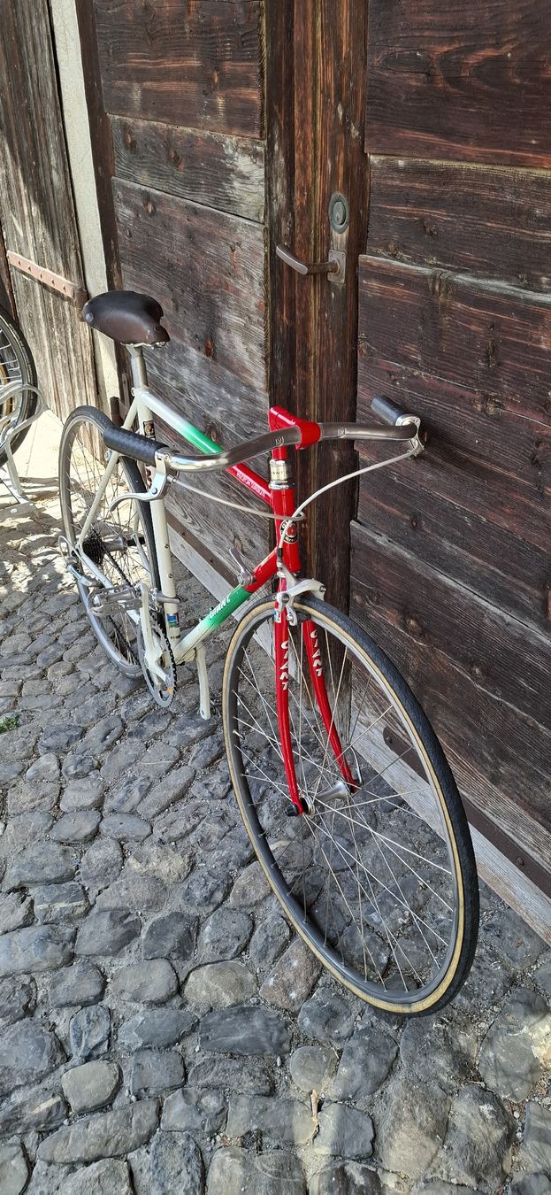 Giant Velos: Klassiker Giant peloton super light  – Gebraucht aus Adliswil von trujillo01 2