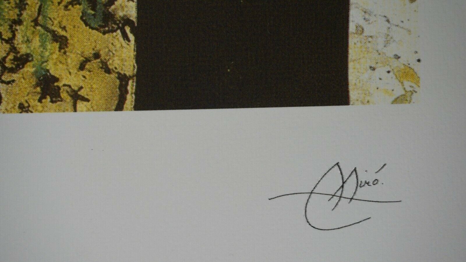 Foto & Immagini: JOAN MIRO     HANDNUMMERIERT DRUCKSIGNIERT – Usato da Gersau venduto da grafik-kunst 3