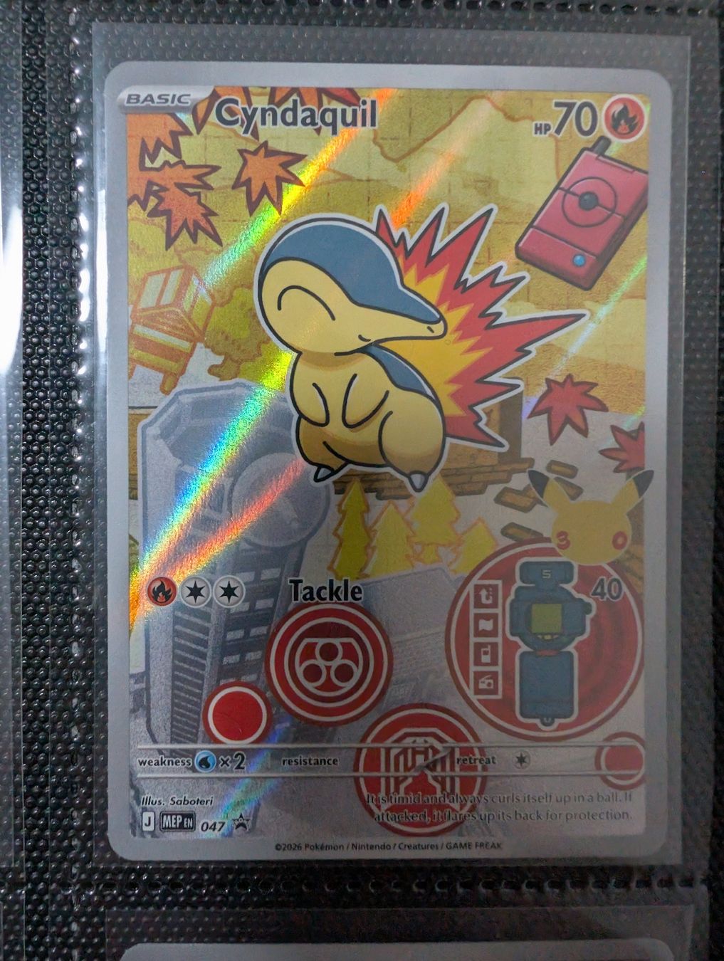 Pokémon Carte collezionabili: Pokemon Johto Starter - First Partner Series 2 - Englisch – Nuovo (secondo la descrizione) da Basel venduto da Master-Ball 1
