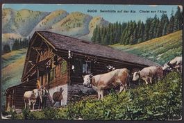 Bauernleben Landwirtschaft Sennhütte auf der Alp