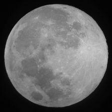 Profile image of Donk63