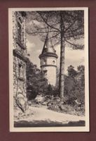 STEINEGG - Schlossturm - 1934