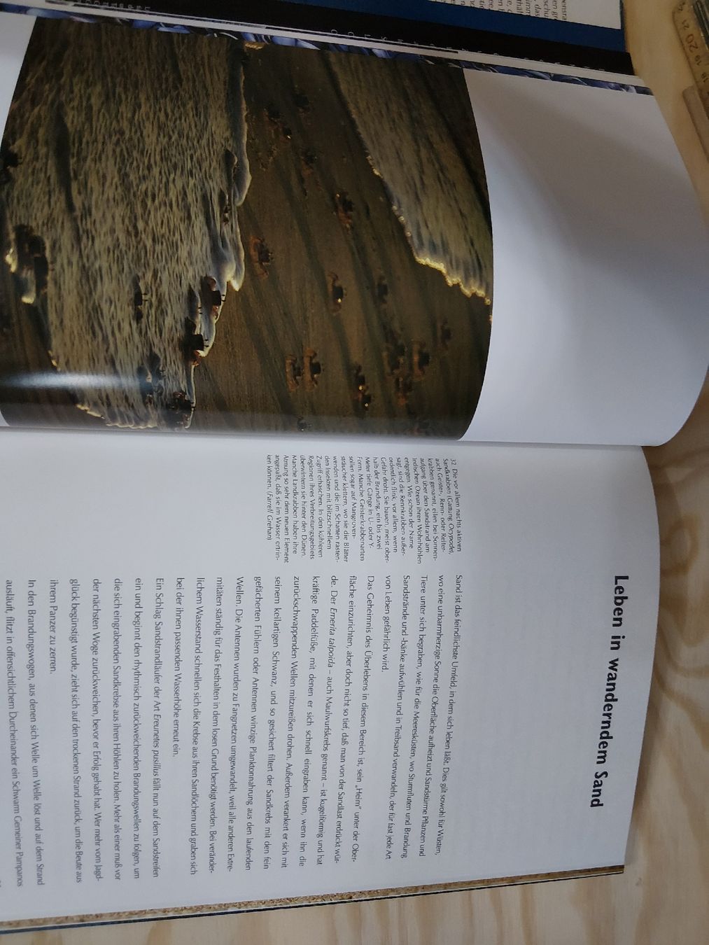 Libri: Lebensraum Ozean – Usato da Grolley venduto da Montana78 4