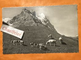 1963 Grindelwald mit Eiger