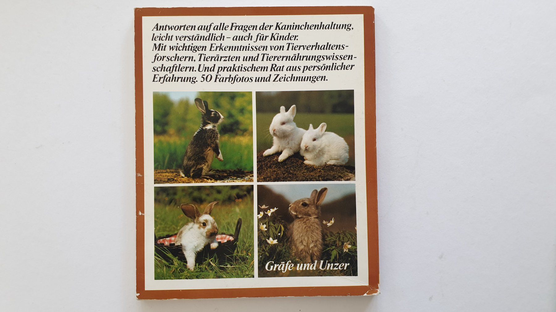 Libri: Kaninchen und Meerschweinchen – Usato da Goldach venduto da armando_r 3