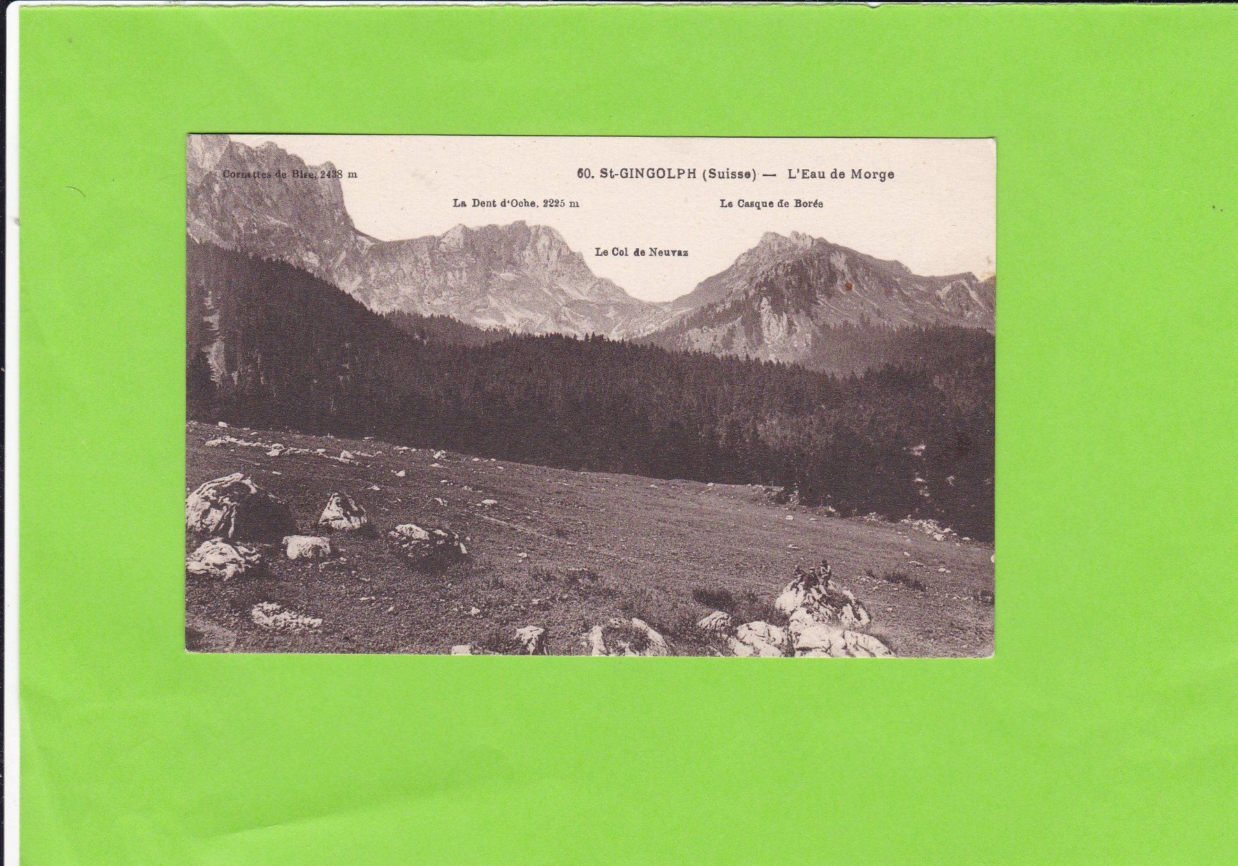 Ansichtskarten: St.-Gingolph-L'Eau de Morge – Gebraucht aus St. Peterzell von neckertal