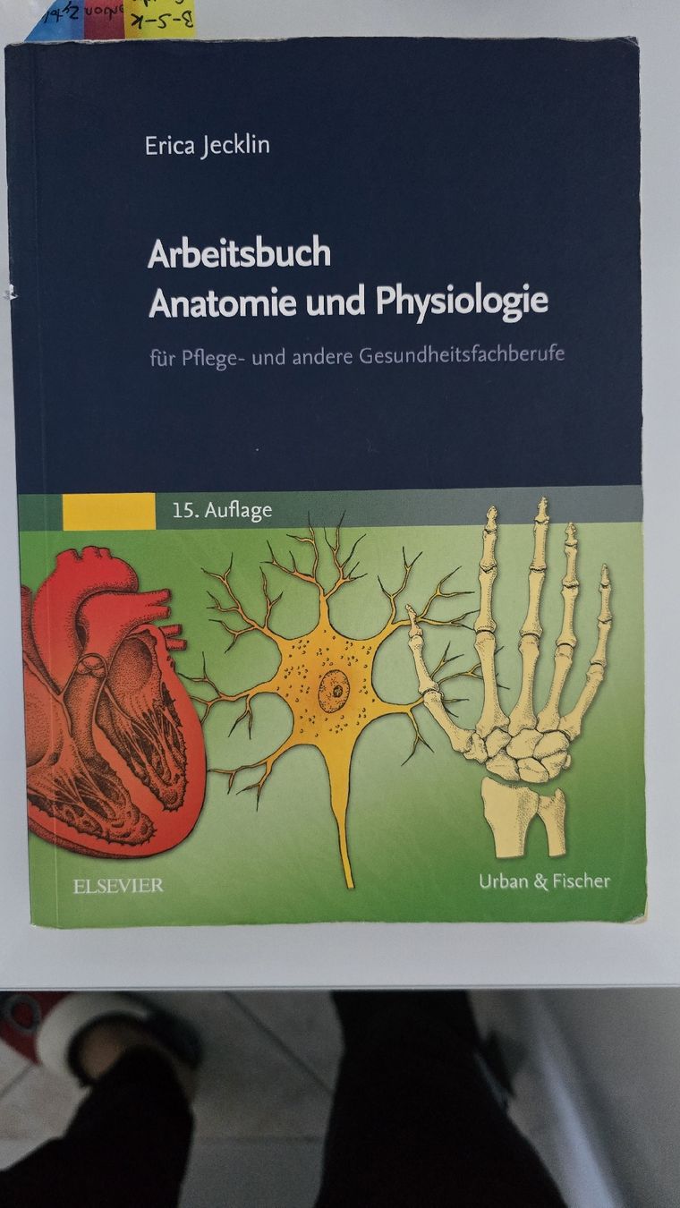 Bücher: Arbeitsbuch Anatomie und Physiologie – Gebraucht aus Spreitenbach von Frenk_pops