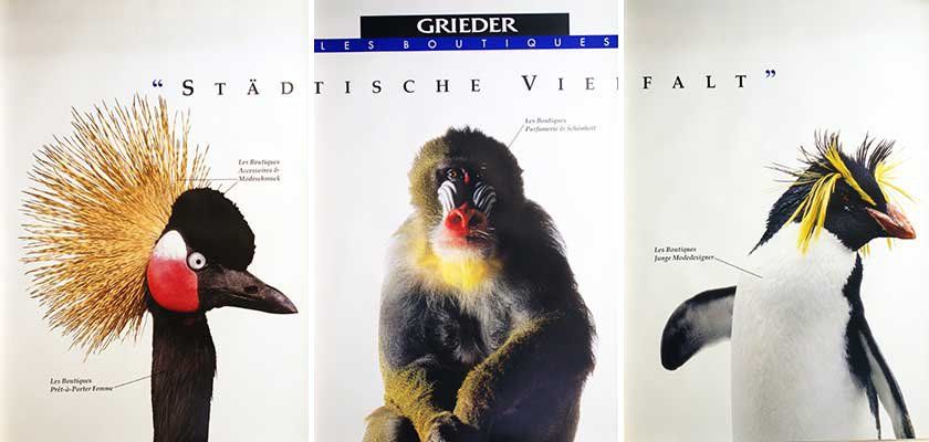 Foto & Immagini: Städtische Vielfalt / Espèces Urbaines – Nuovo (secondo la descrizione) da Bern venduto da Vintage-Art-Poster 1