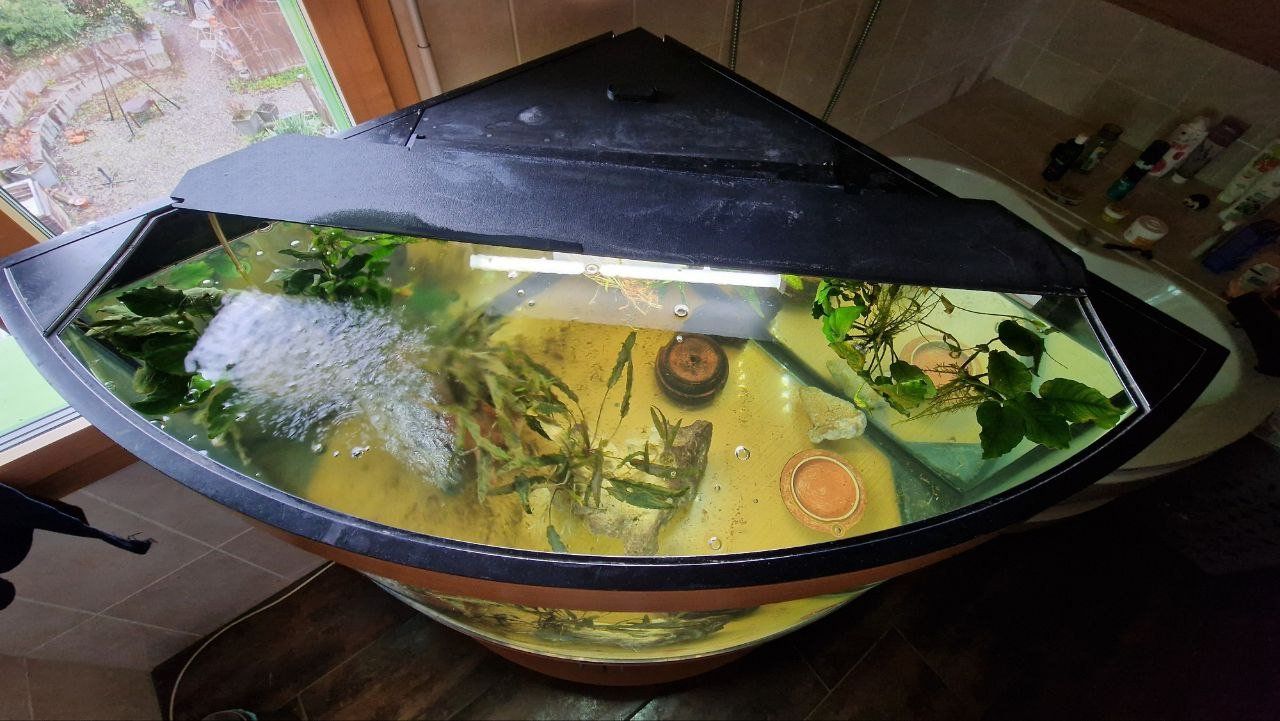 Acquari: Juwel Aquarium 300 – Usato da Blumenstein venduto da olka007 1