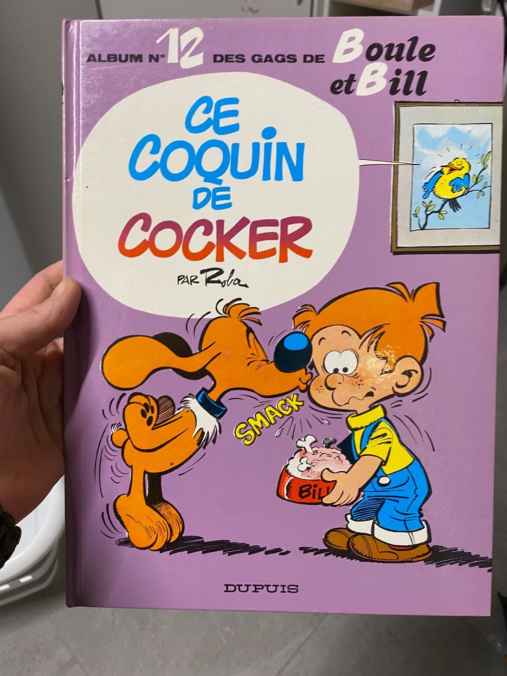 Fumetti: BD Boule et Bill ce coquin de cocker – Usato da Salvenach venduto da gwenwywar