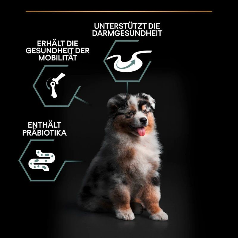 Mangimi: PRO PLAN Puppy Medium Sensitive Digestion 12 KG, ungeöffnet – Nuovo e nell'imballaggio originale da Oberengstringen venduto da Palibal 1