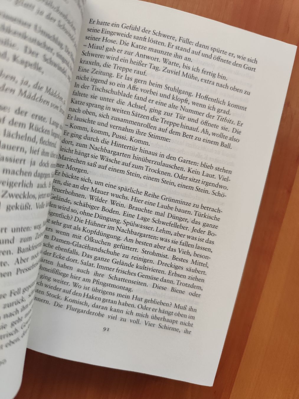 Libri: James Joyce Ulysses German Edition Taschenbuch  – Usato da Mägenwil venduto da VintageGirly 6