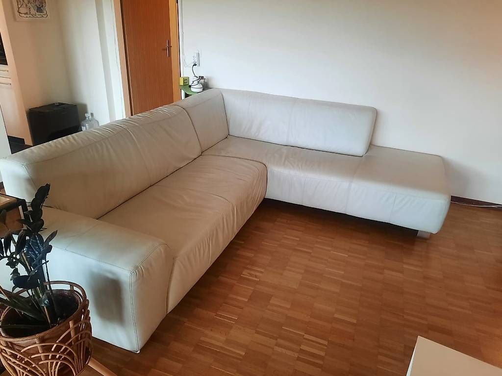 Pfister Divani: Möbel Pfister Ecksofa Echtleder - hellgrau - 255 × 220 cm – Usato da Aarau venduto da Amothan