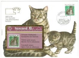 Taxcard in Sammelkuvert Katze ungebraucht