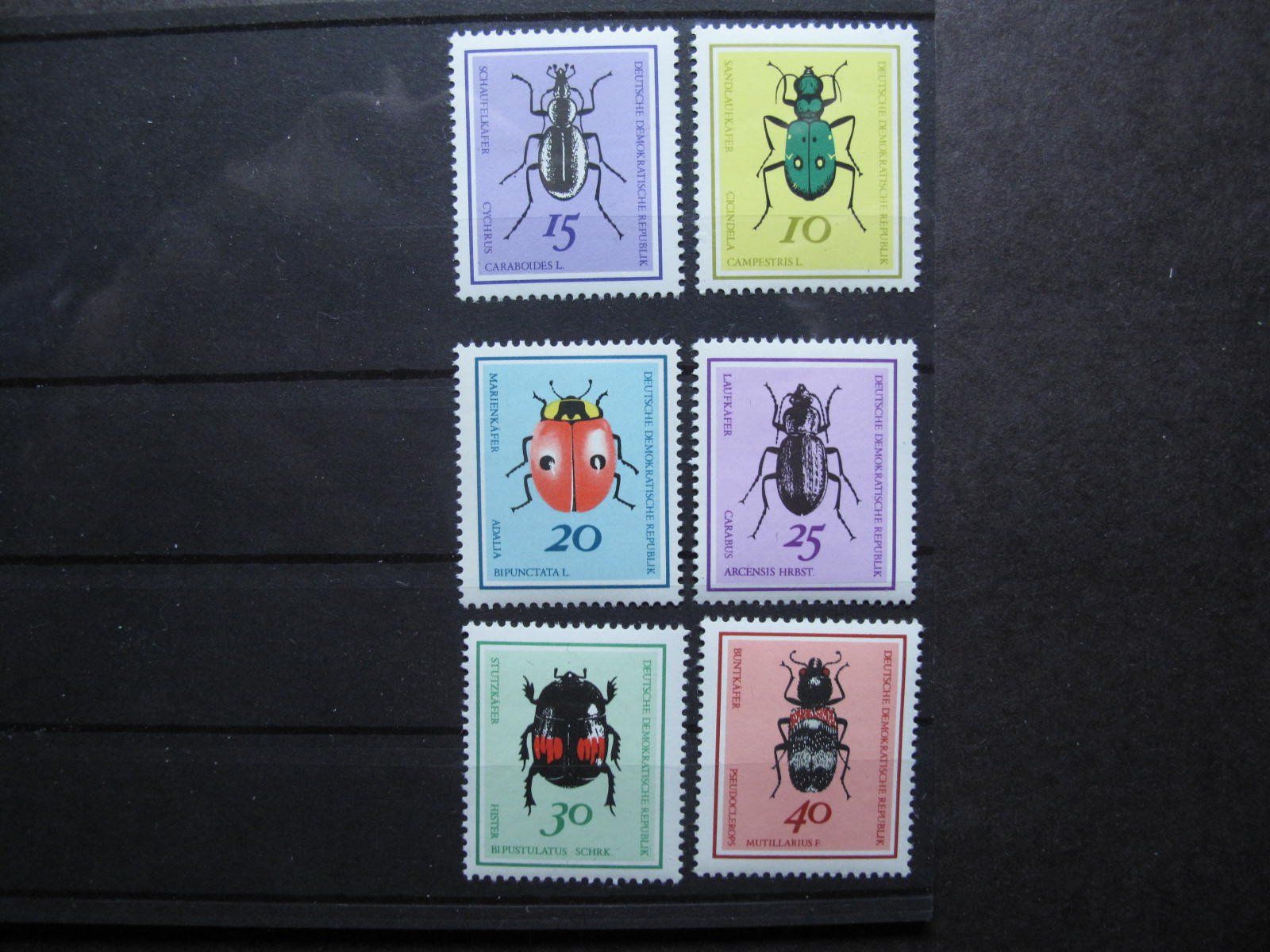 Alle Briefmarken: DDR 1968 Nützliche Käfer ** – Gebraucht aus Wil SG von fva01