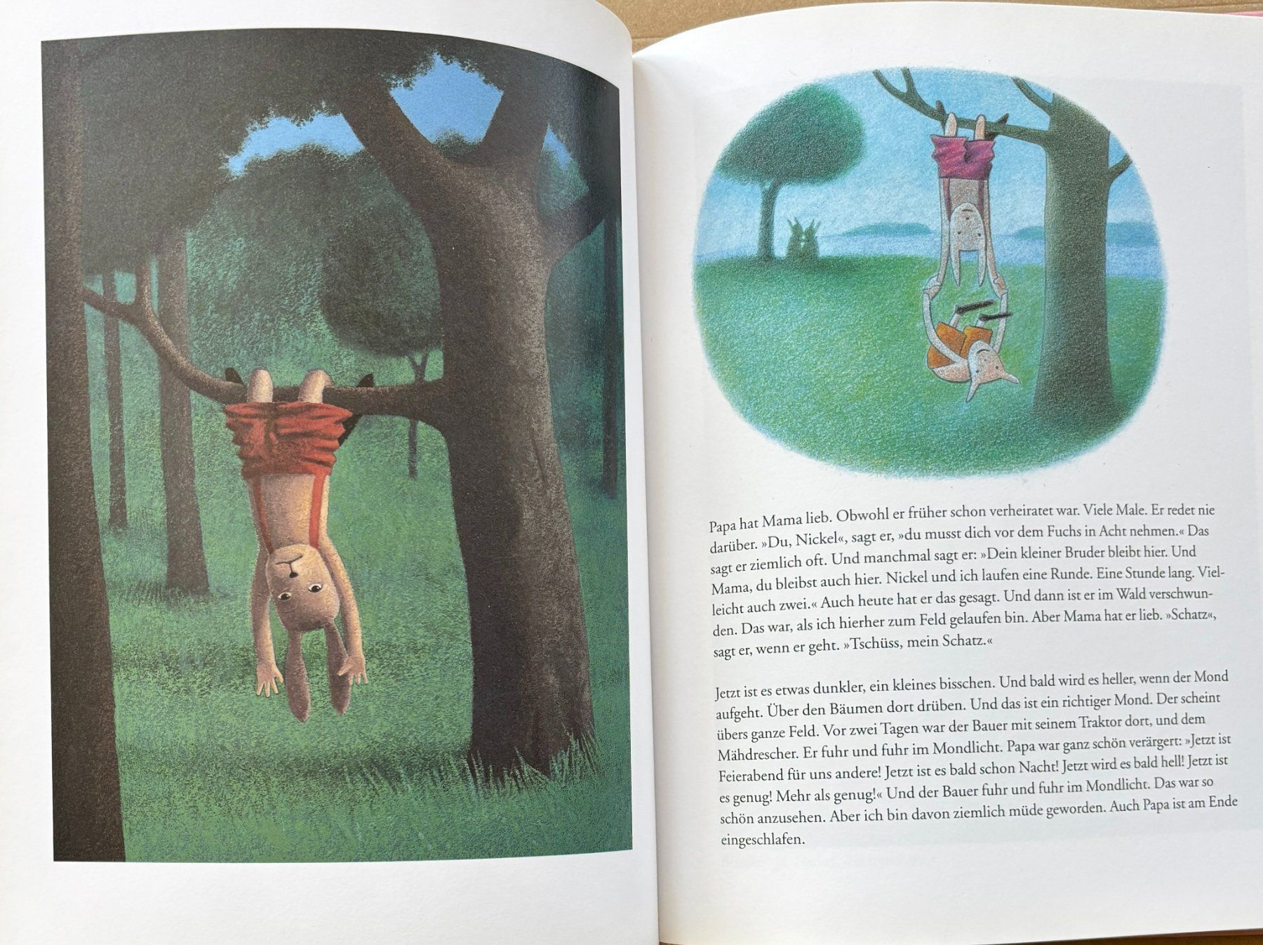 Libri: Das weite Feld – Nuovo (secondo la descrizione) da Sarnen venduto da Livres 4