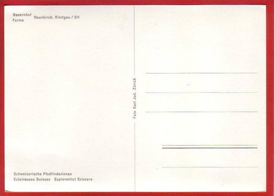 Cartoline postali: NEUNKIRCH, KLETTGAU, BAUERNHOF, PFERDEGESPANN, GROSSFORMAT – Usato da Grüningen venduto da Kartenlaube 1