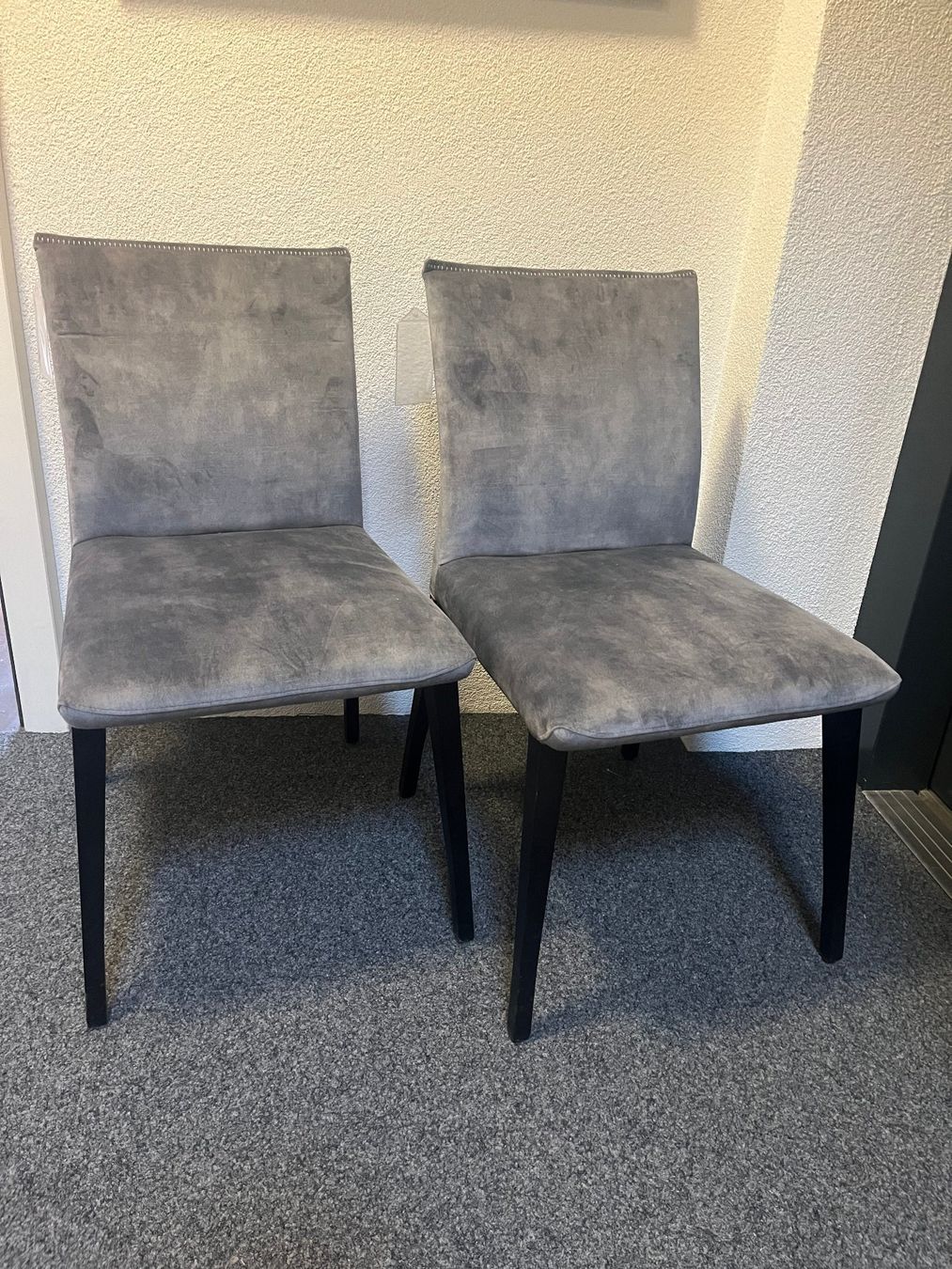 Sedie: 2 Stühle Stoff silver von Mobitec Einzelstücke!! – Nuovo (secondo la descrizione) da Kloten venduto da bilgeri01