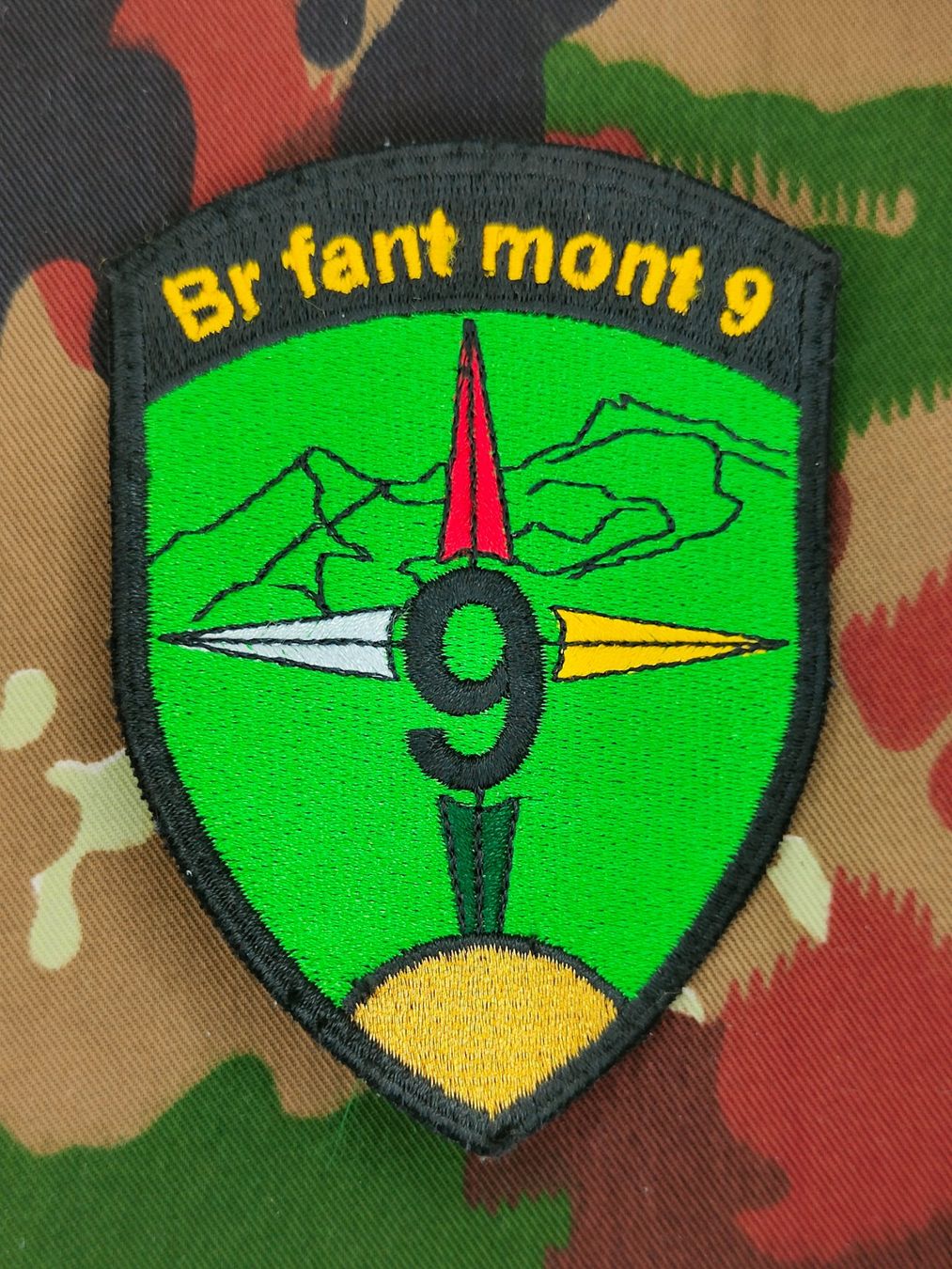 Schweizer Armee Plaketten & Abzeichen: Verbandsabzeichen Gebirgsinfanteriebrigade 9 – Gebraucht aus Bauma von SwissMilitaria