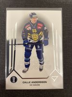 Sportzoo Calle Andersson Hc Davos Playoffs 2025