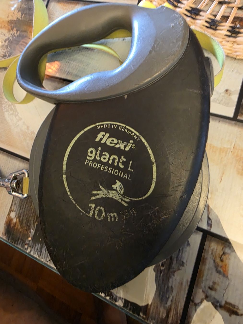 Flexi Collier et laisse: Flexi Giant L 10m – D'occasion à Liestal par producer 2