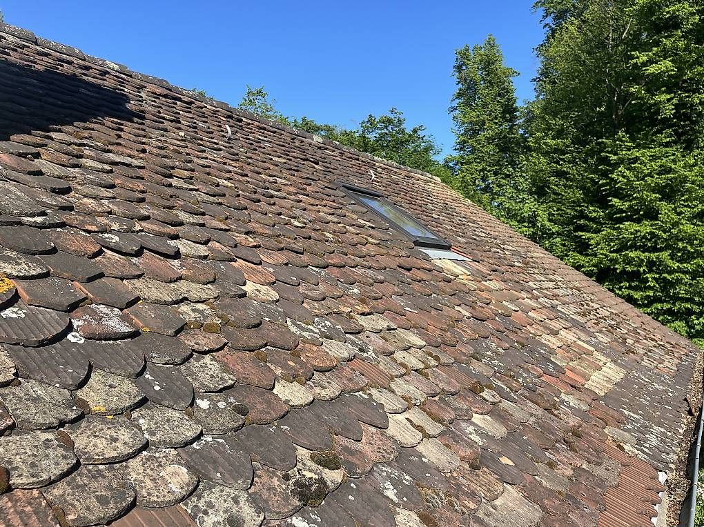 Pietre & tegole: Alte antike Dachziegel – Usato da Binningen venduto da BenjaminStern 4