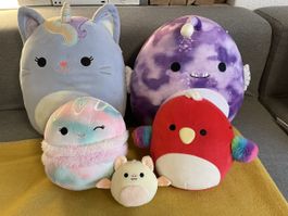 5 Squishmallows Plüschtiere Set  