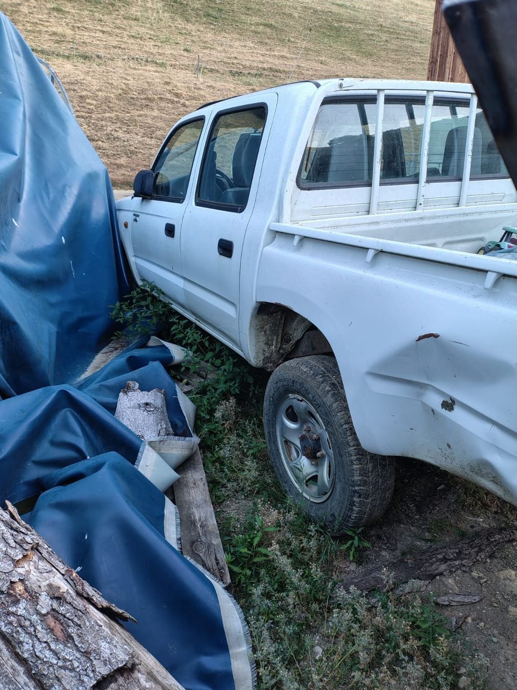 Toyota Automobili: Toyota Hilux – Usato da Beinwil SO venduto da svro 2
