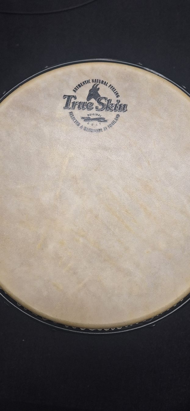 Meinl Strumenti musicali: Djembe Meinel – Usato da Altdorf UR venduto da Ristolino 1