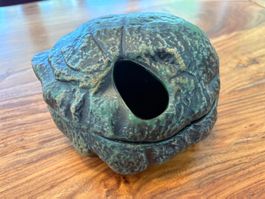 Repti Shelter für Reptilien und Amphibien