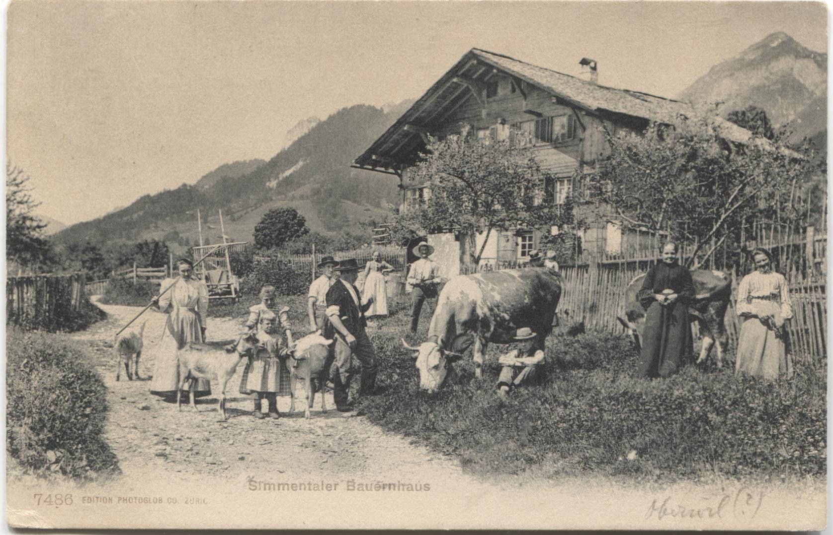 Cartoline postali: Landwirtschaft 1909 Oberwil ? im Simmental – Usato da Wil SG venduto da Clanx
