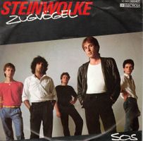 Single7   Steinwolke  - Zugvögel