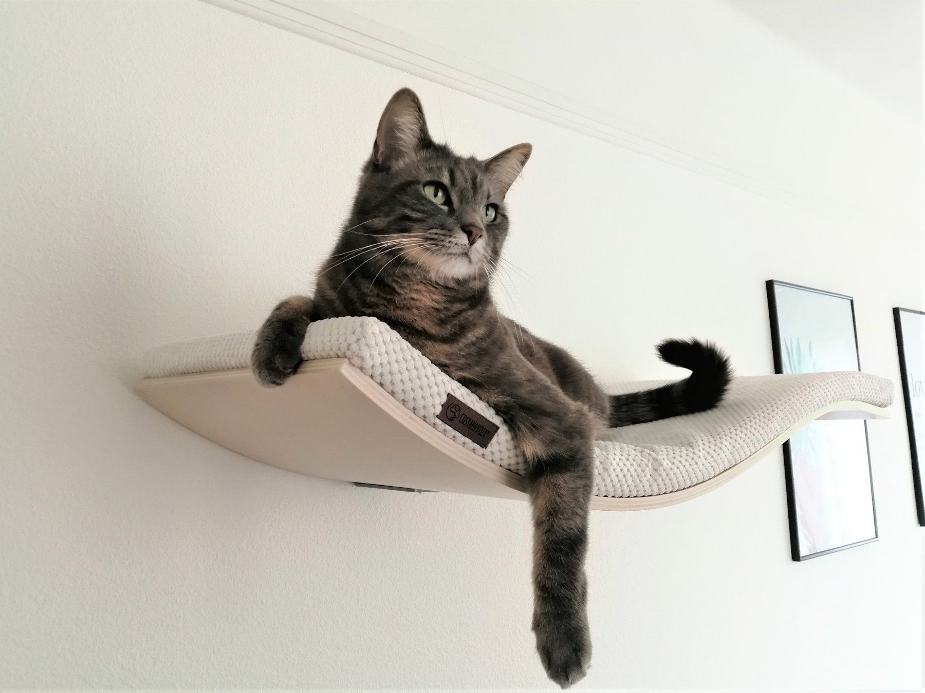 Cucce & Letti: Lit pour chat - Etagère Design – Nuovo e nell'imballaggio originale da St-Barthélemy VD venduto da mardi88 2