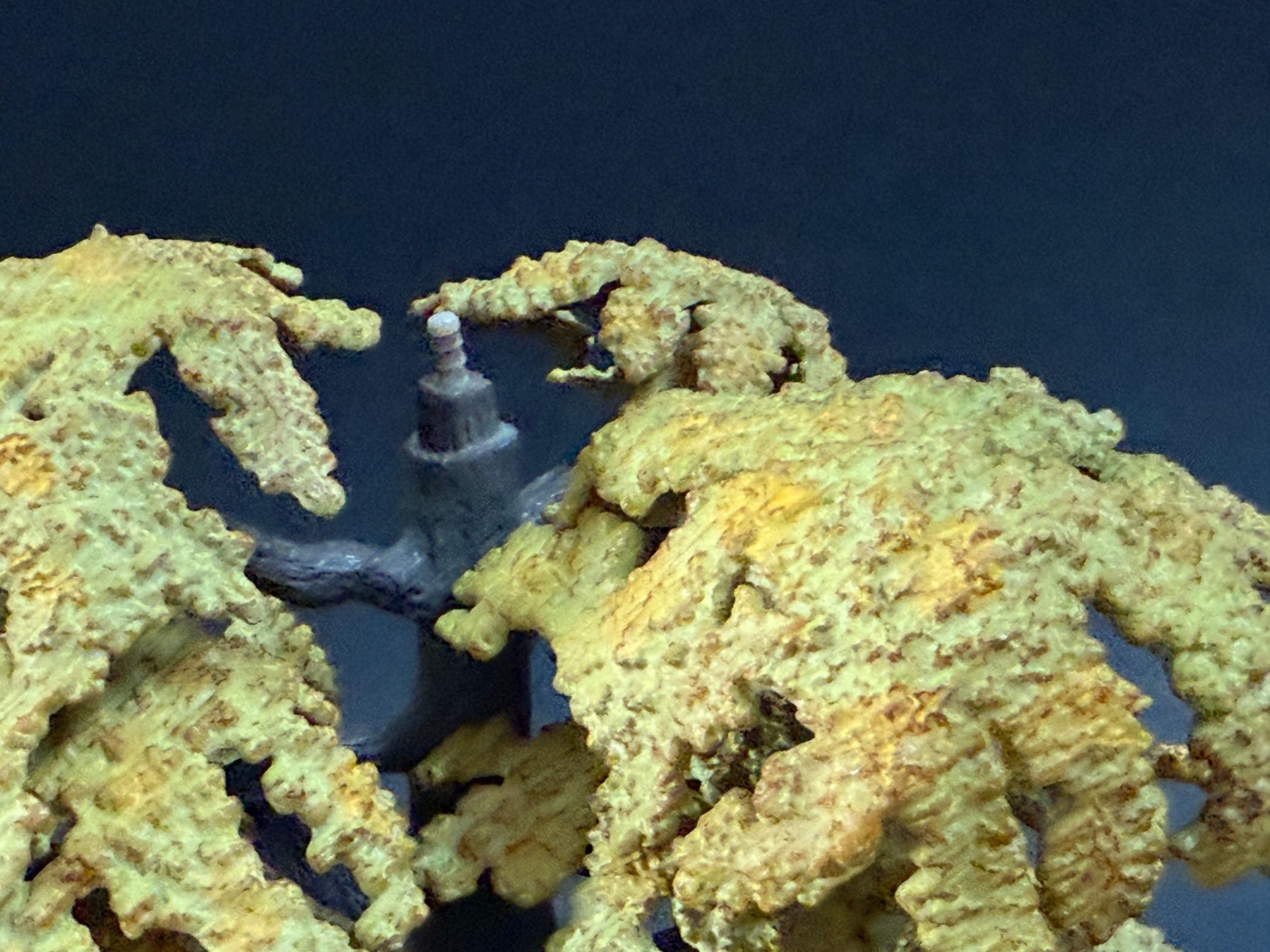 Schleich Figuren: Schleich Eiche klein 30651 Baum – Gebraucht aus Ennetbaden von mapa05 4