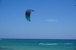 Naish Kite PIVOT 14m2 inkl. Bar. Serie 2019