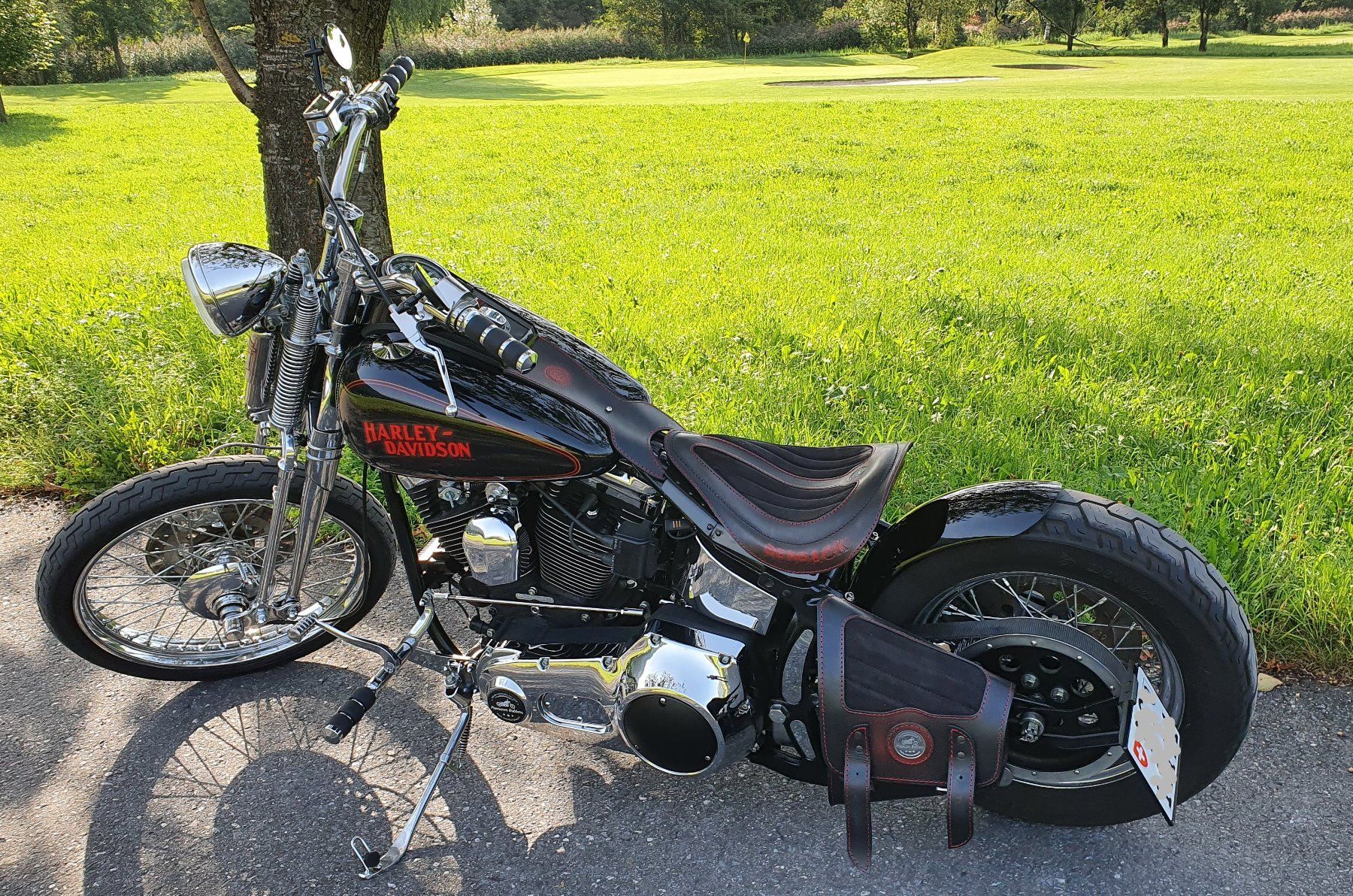 Harley-Davidson Chopper: Harley Davidson 93er Softail Springer "The Redback" – Usato da Aarwangen venduto da franky007 1