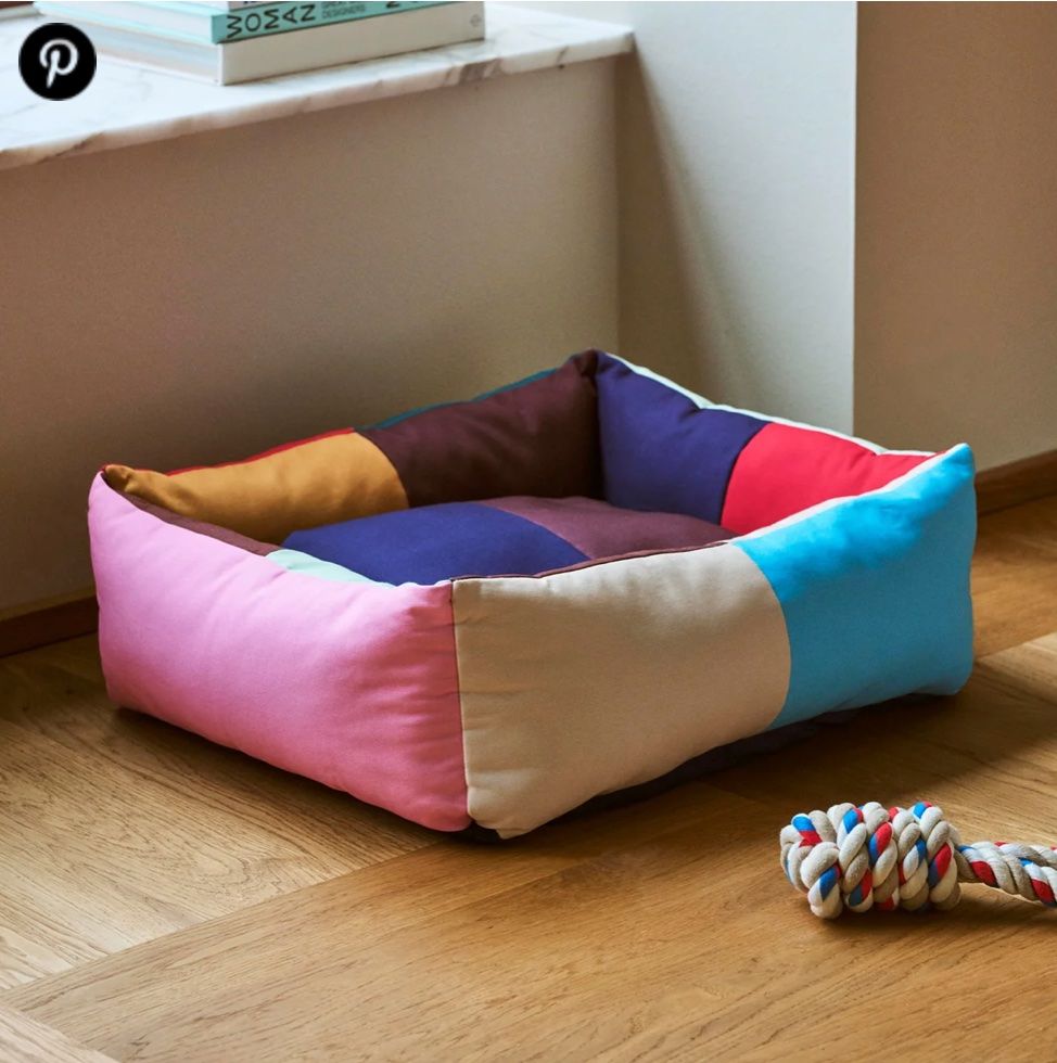 Cucce & Letti: HAY Hundebett – Nuovo (secondo la descrizione) da Basel venduto da lottalotta