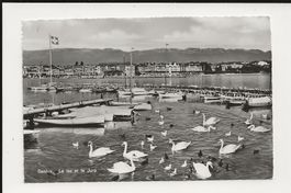 AK 1957 Genf / Genève Am See -  Boote und Wasservögel