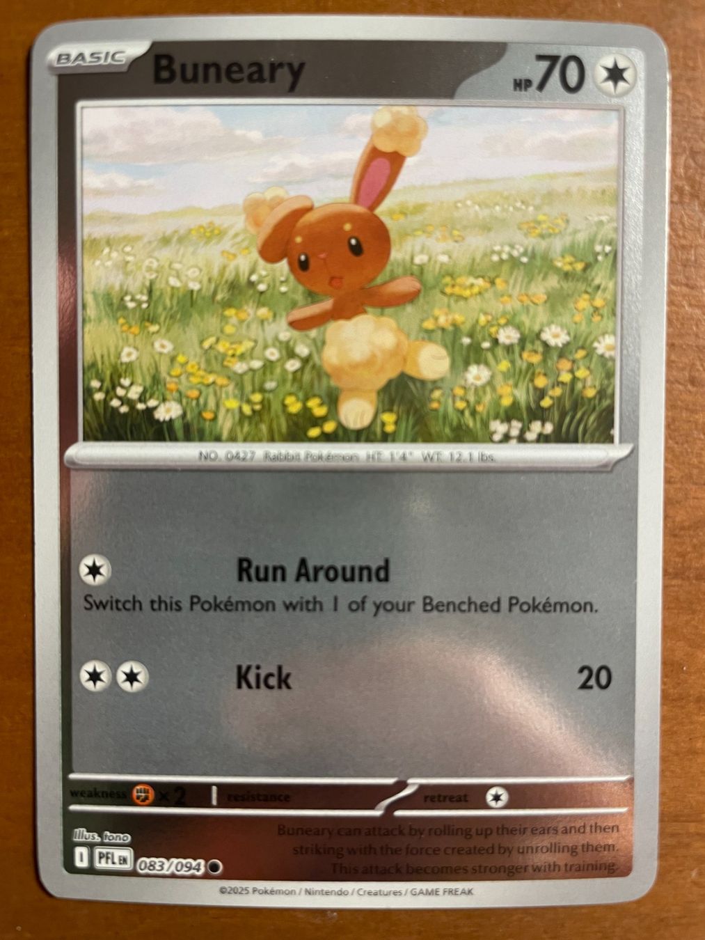 Pokémon Carte collezionabili: Pokemon Buneary Reverse (Versand gratis) – Nuovo (secondo la descrizione) da Chur venduto da Angerson