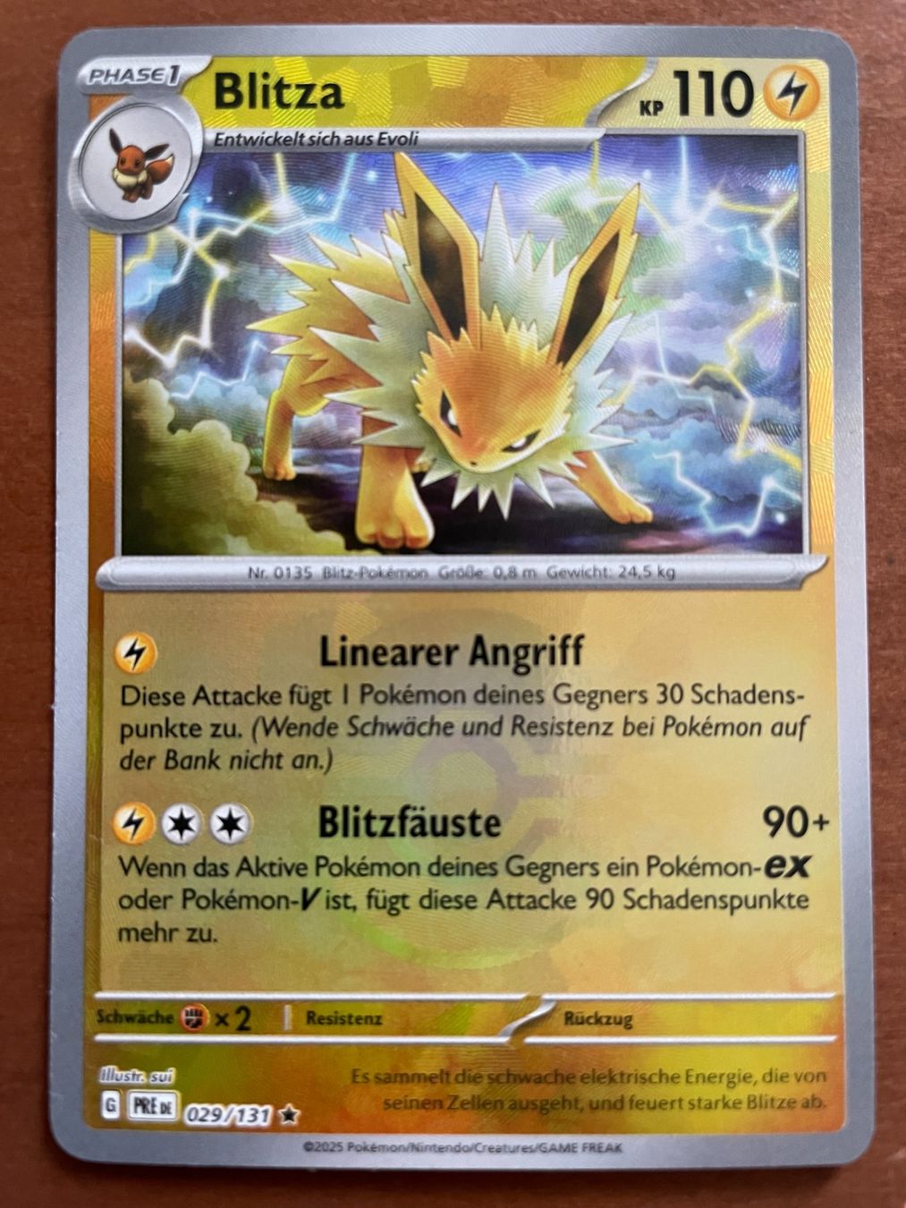 Pokémon Carte collezionabili: Pokemon Blitza Pokeball (Versand gratis) – Nuovo (secondo la descrizione) da Chur venduto da Angerson