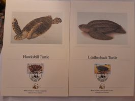Anguilla WWF Schildkröte 1983 selten