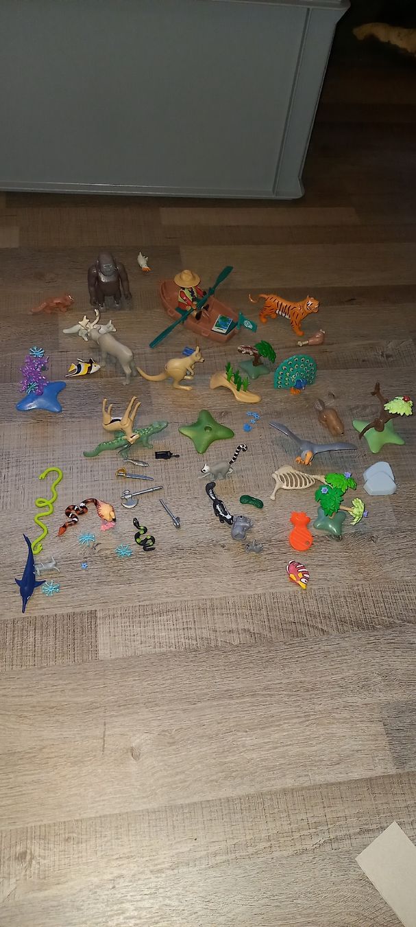 Playmobil Giocattoli: Jungen Playmobil Tiere – Usato da Herisau venduto da frp_b5zm 1