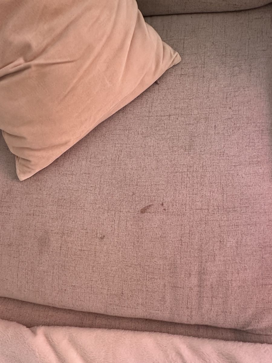 Beliani Sofas: Gebrauchtes Sofa KOSTENLOS – Gebraucht aus Zürich von deliahsdiary 2