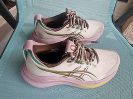 ASICS GEL-NIMBUS 28 TR (trail), Light Dust/Clay Canyon